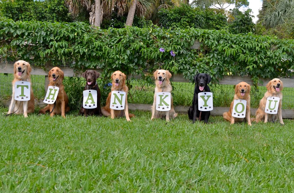 Foundation Events - Thank You