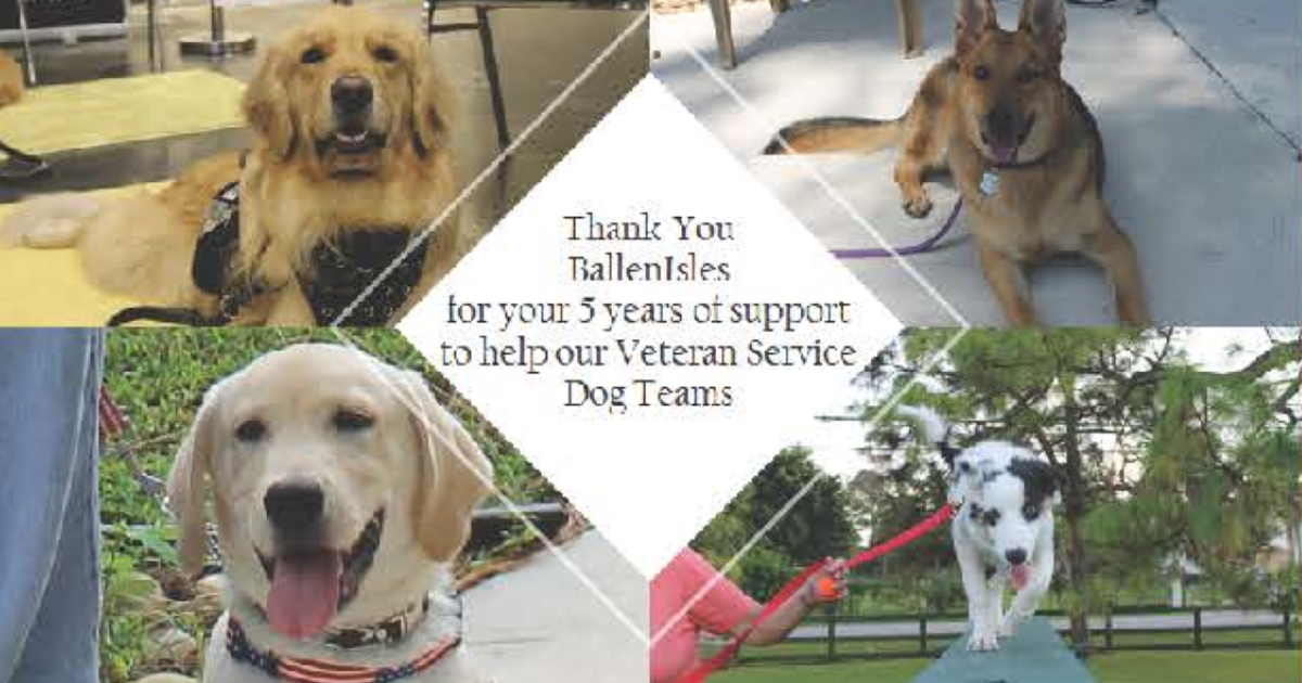 paws4liberty-featured